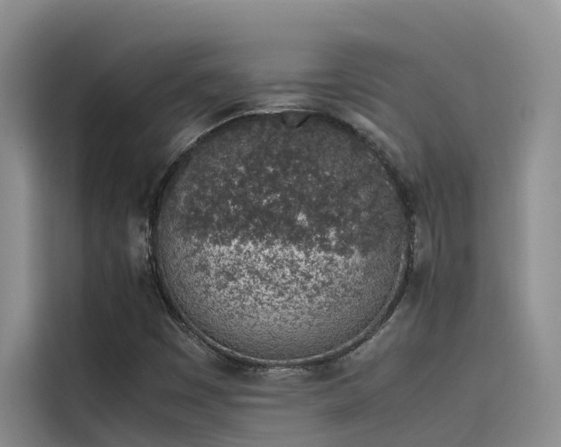 X0000115621449200911171306