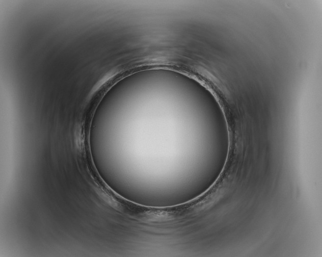 X0000115621450200911171306