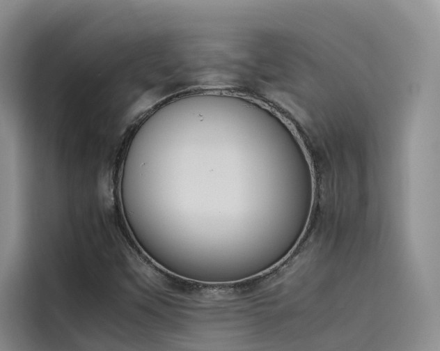 X0000115621451200911171306