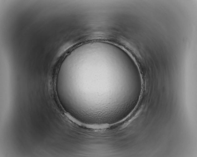 X0000115621453200911171306