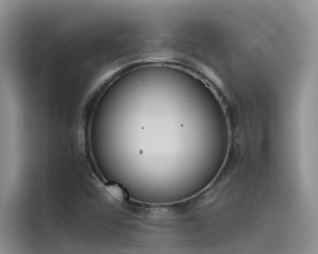 X0000115621456200911171306