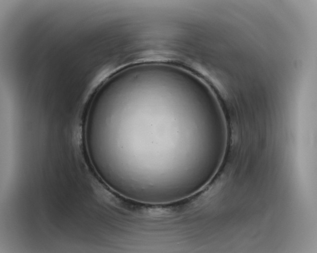 X0000115621459200911171306