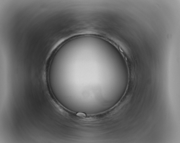 X0000115621460200911171306