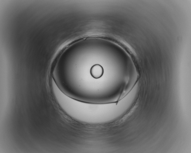 X0000115621461200911171306