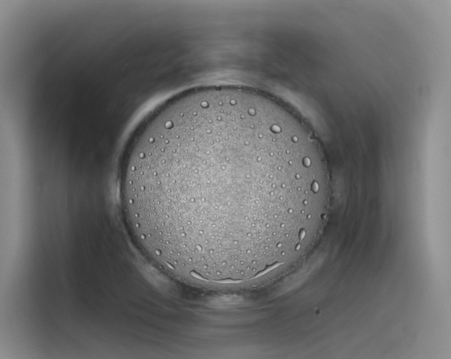 X0000115621462200911171306