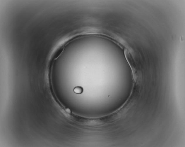 X0000115621464200911171306