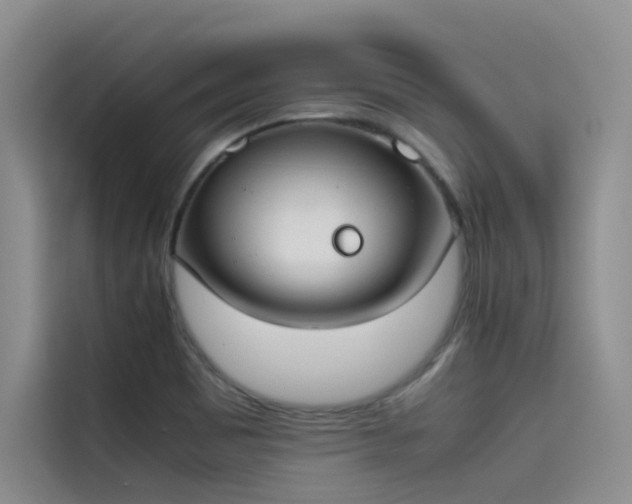 X0000115621465200911171306