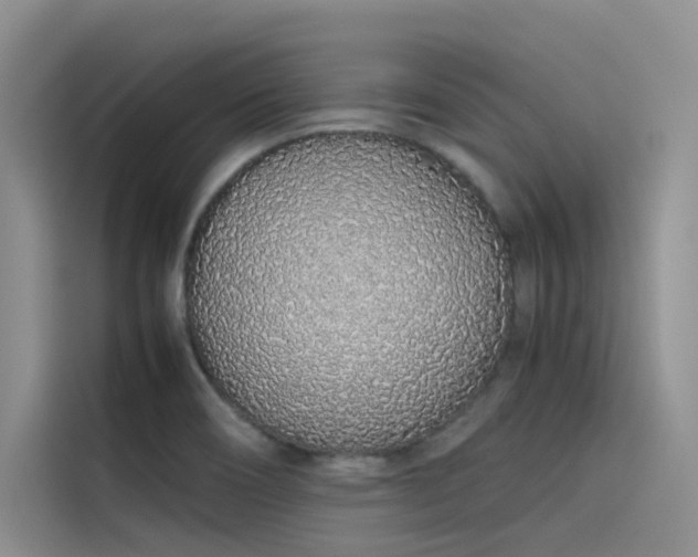 X0000115621466200911171306