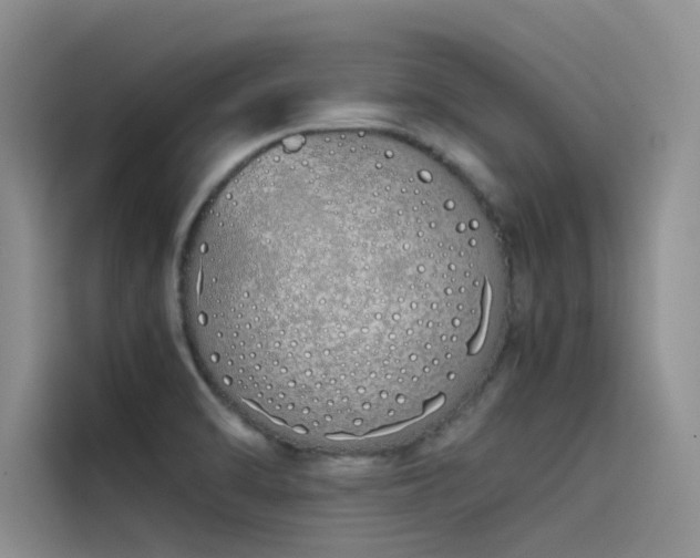 X0000115621470200911171306