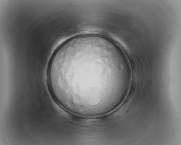 X0000115621471200911171306