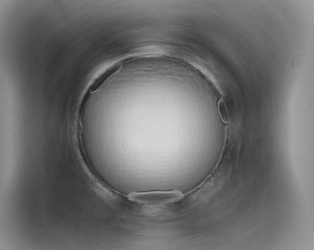 X0000115621477200911171306