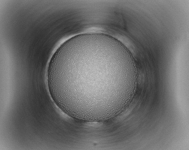 X0000115621478200911171306