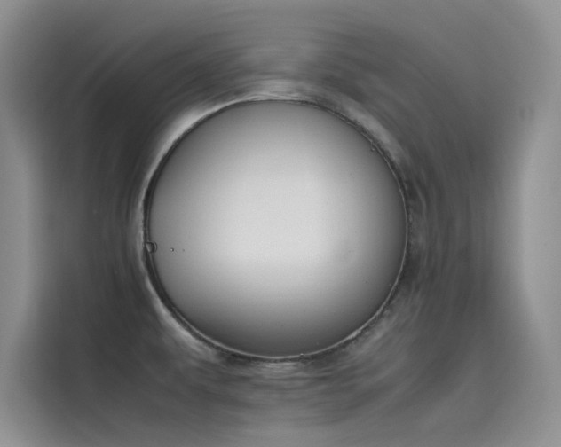 X0000115621479200911171306