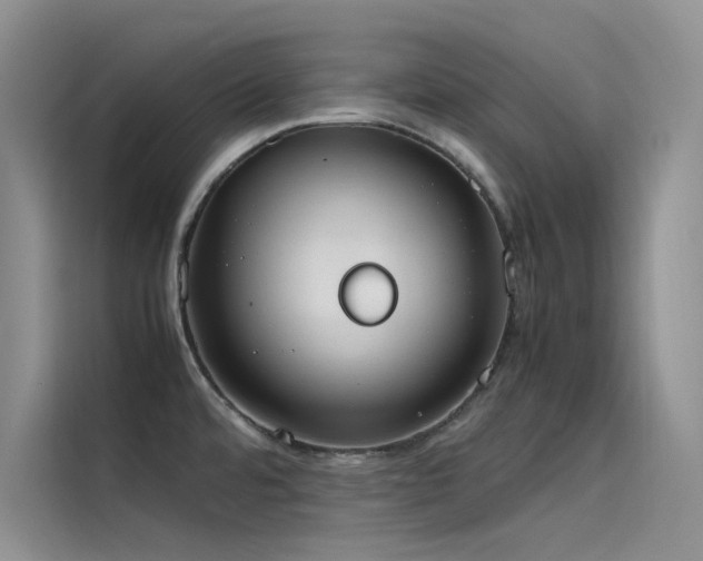 X0000115621480200911171306