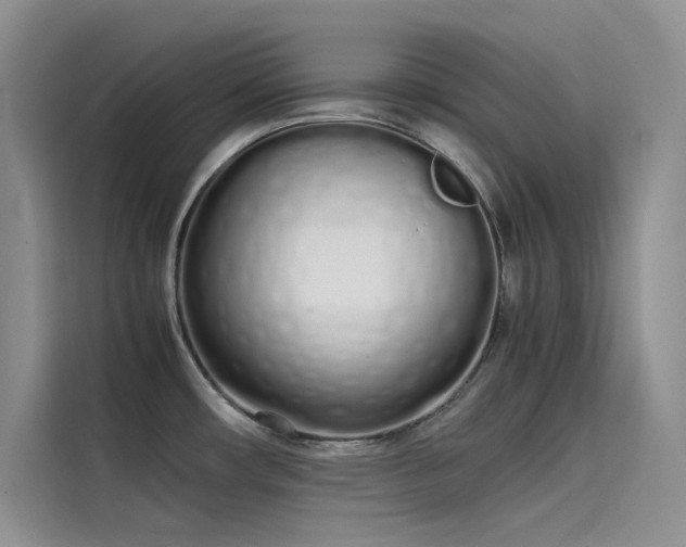 X0000115621482200911171306