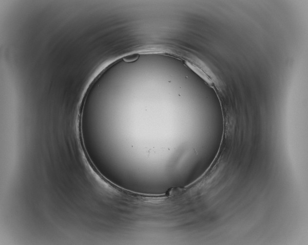 X0000115621484200911171306