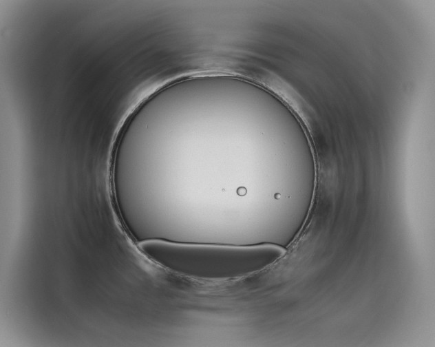 X0000115621485200911171306