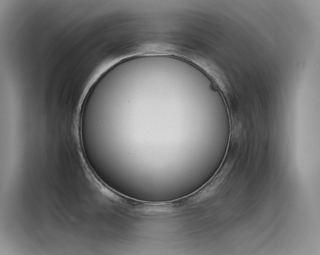 X0000115621486200911171306