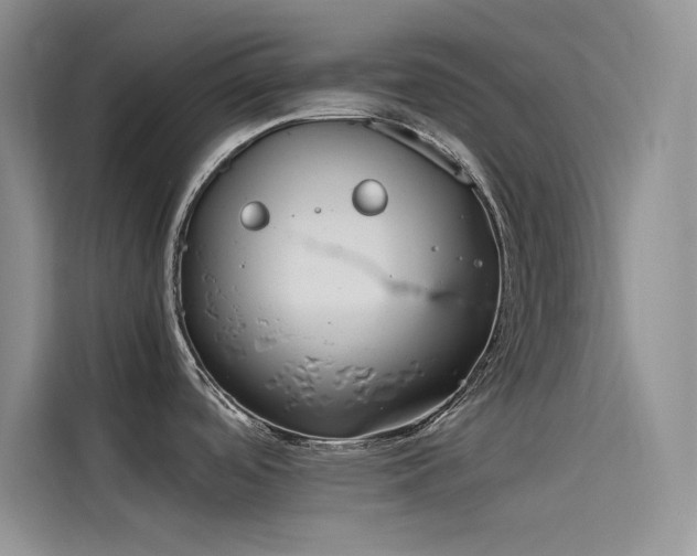 X0000115621488200911171306