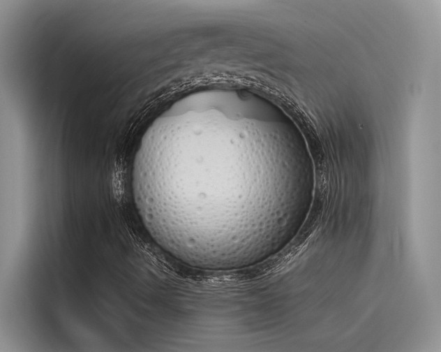 X0000115621490200911171305