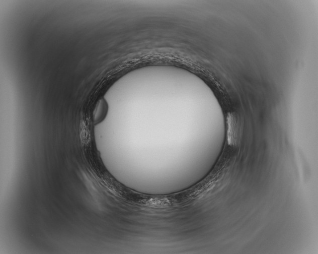 X0000115621491200911171305