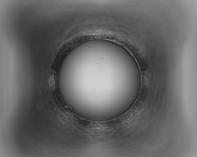 X0000115621493200911171305