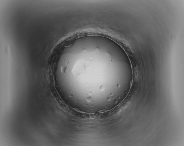 X0000115621494200911171305