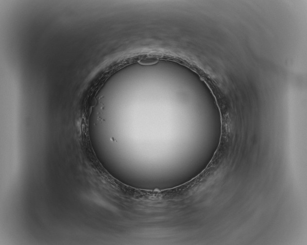 X0000115621495200911171305