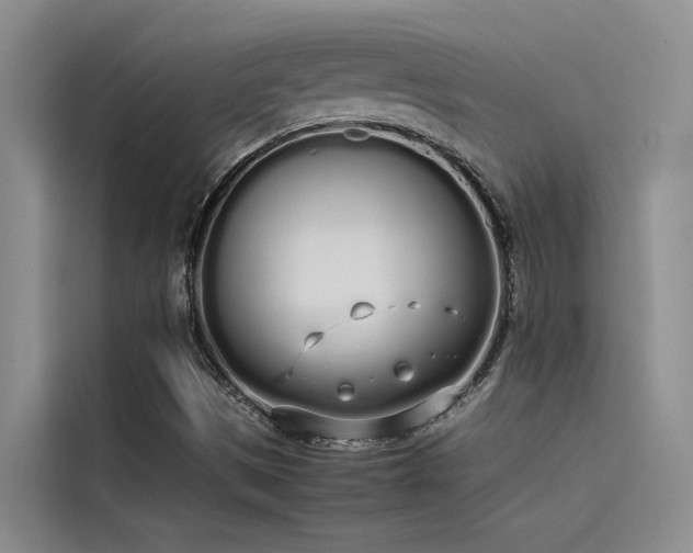 X0000115621497200911171305