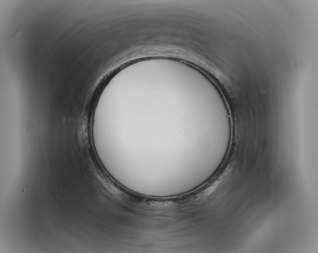 X0000115621498200911171305