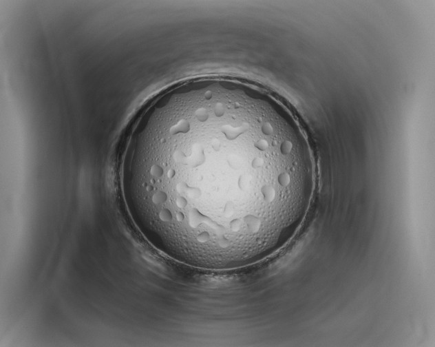 X0000115621501200911171305