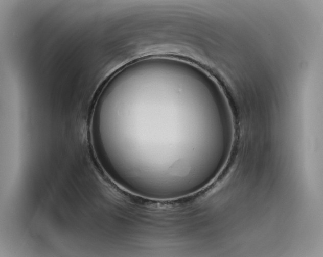 X0000115621505200911171305