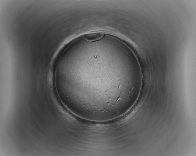 X0000115621506200911171305