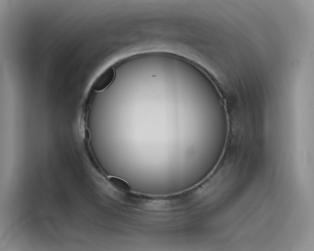 X0000115621510200911171305