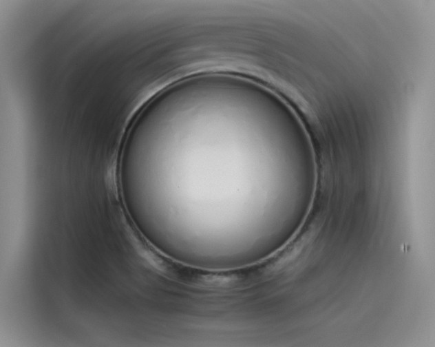 X0000115621513200911171305