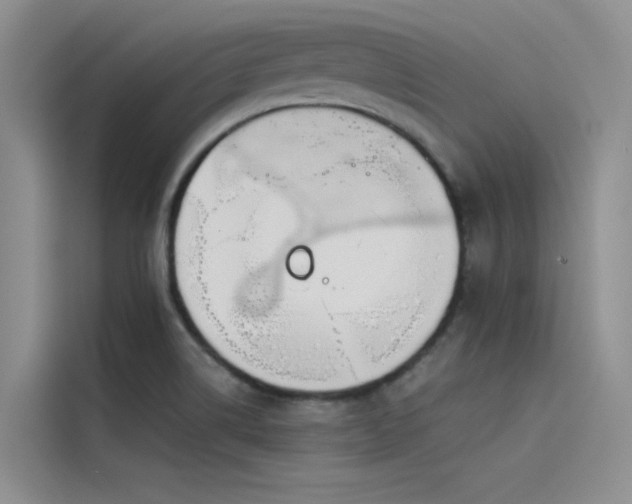 X0000115621514200911171305