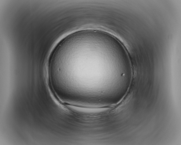 X0000115621515200911171305