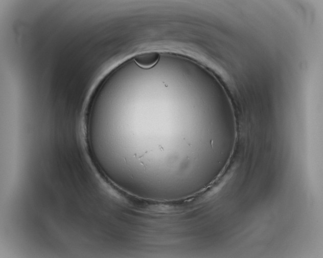 X0000115621517200911171305