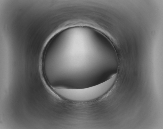 X0000115621518200911171305