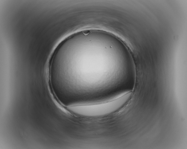 X0000115621519200911171305