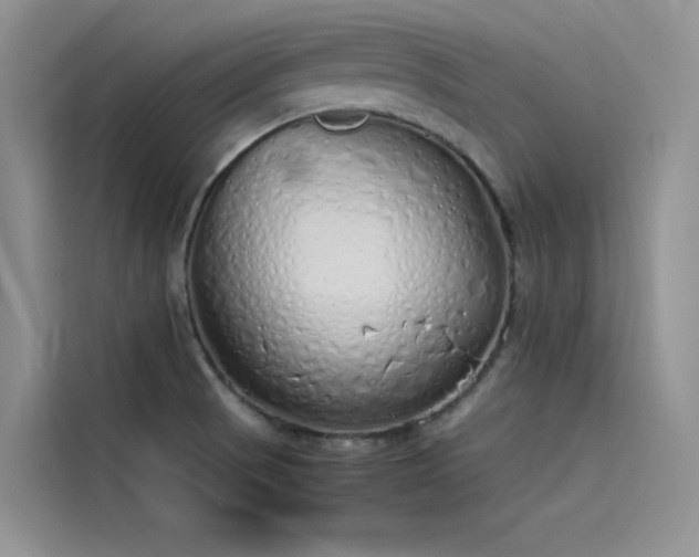 X0000115621521200911171305