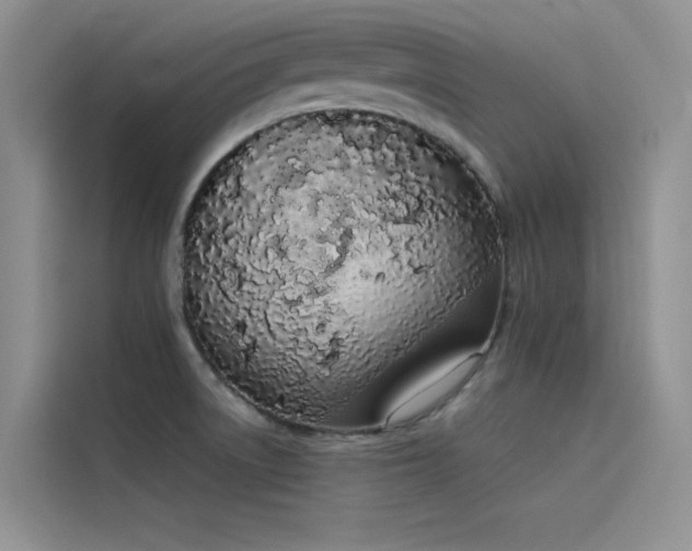 X0000115621522200911171305