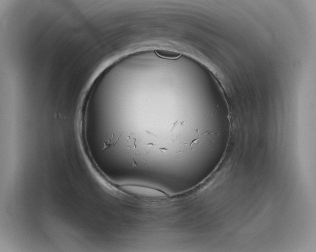 X0000115621523200911171305