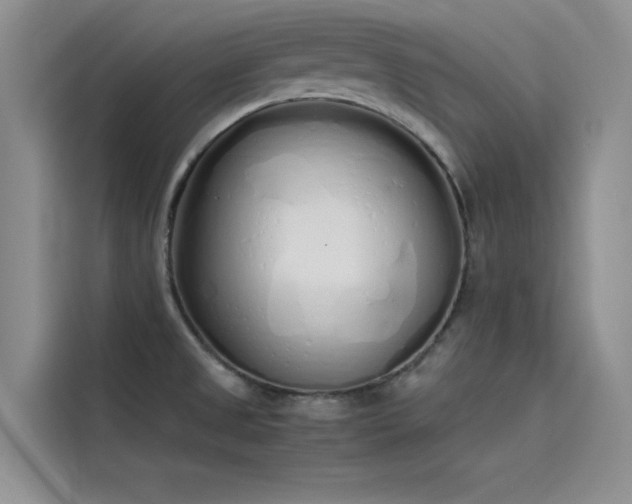 X0000115621525200911171306