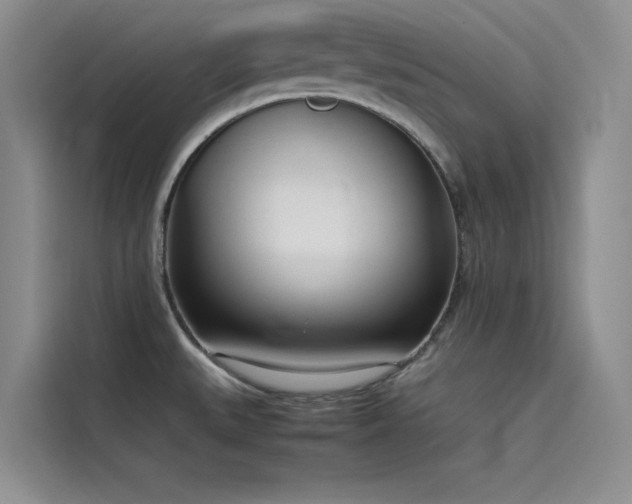 X0000115621527200911171306