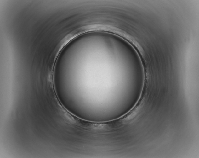 X0000115621529200911171306