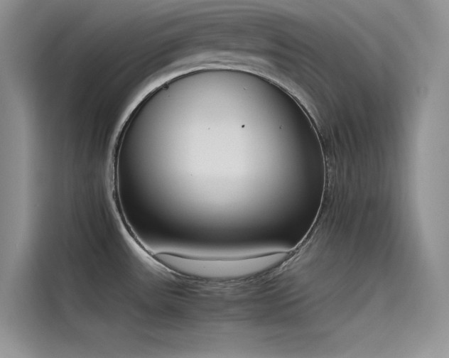 X0000115621531200911171306