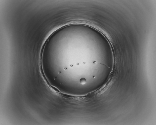 X0000115621533200911171306