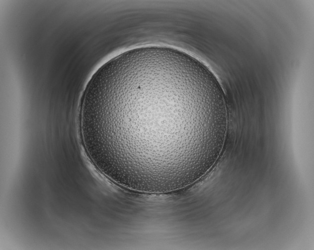 X0000115621534200911171306