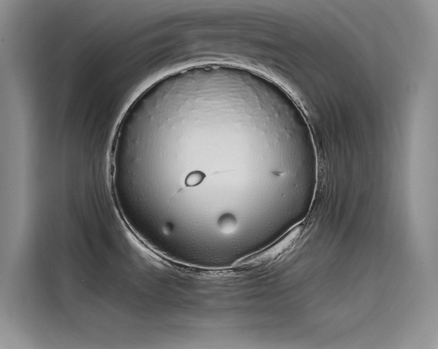 X0000115621535200911171306